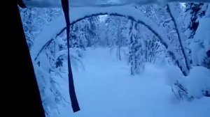 пелец в снегу