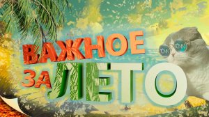 Котоновости - лучшее за лето "Смешные коты"