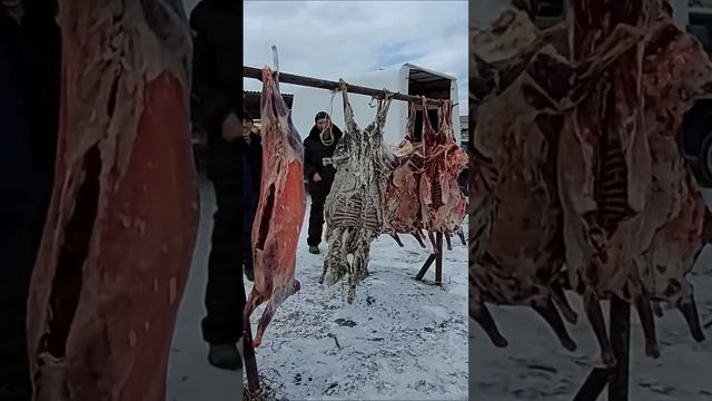 Мясо, курдюк на горном рынке Дагестана? смотреть онлайн