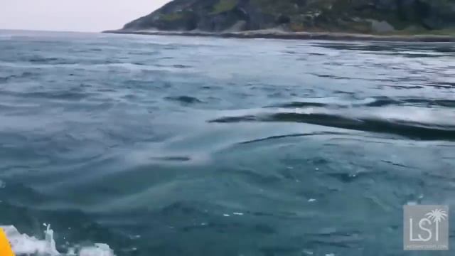 Самые опасные водовороты на Земле смотреть онлайн