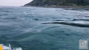Самые опасные водовороты на Земле