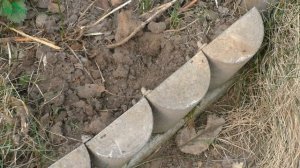 ? Как избавиться от муравьёв в саду и огороде - 7 дач