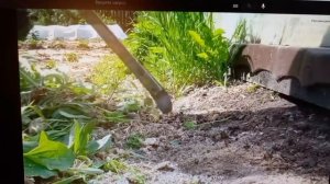 Как Облегчить Жизнь На Огороде.mp4