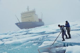 Арктика превратит Россию в самую богатую державу - неожиданная находка русских
