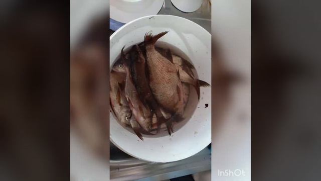 Рыбалка в Зауралье. Весна, лето, осень 2020г. смотреть онлайн