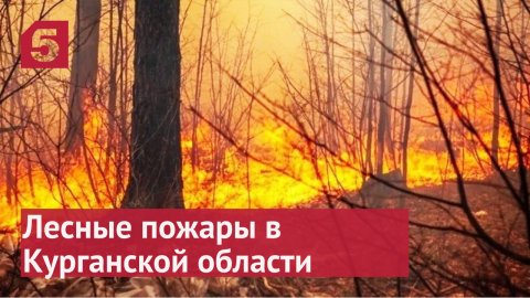 Лесные пожары в Курганской области перекрыли трассу «Иртыш» .