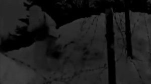 "Баллада о фотокарточке"