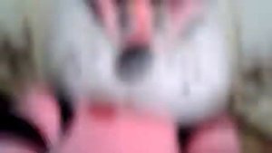 Смешной розовый кот! Толстяк! Забавный прикол!