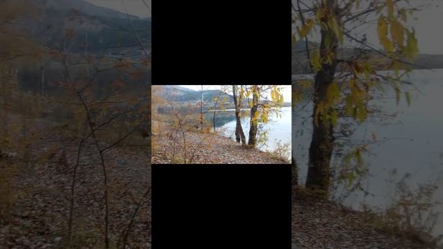 Как мариную Свинину/Шашлык возле озёра/красивый закат на озере/отдых возле речке❤ смотреть онлайн