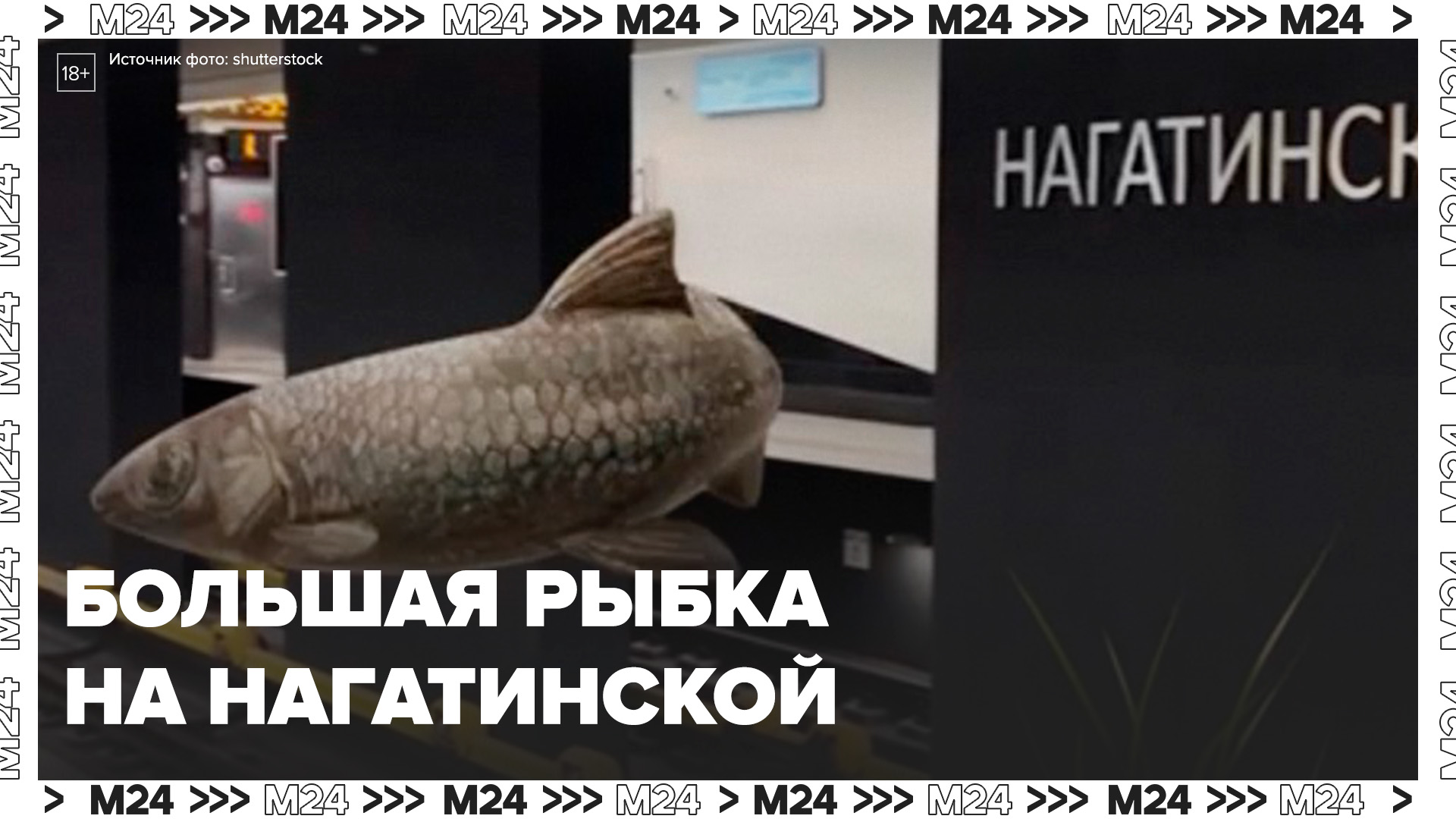 Видео с эффектом дополненной реальности смонтировали на станции "Нагатинский затон" - Москва 24