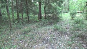 Бокситогорск Аттракционы в городском парке.