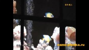 Умная смарт пленка с затемнением и обратной проекцией