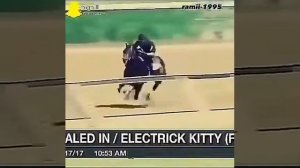 САМАЯ БЫСТРАЯ ЛОШАДЬ В МИРЕ!!!