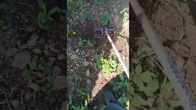 Тестирую насадку на триммер