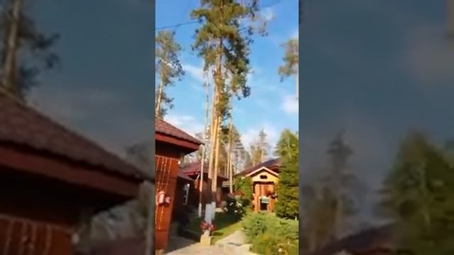 Кафе ЛЕСНАЯ СКАЗКА Игорь Сормовский Заходи ко мне во сне смотреть онлайн