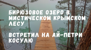 Бирюзовое озеро в мистическом крымском лесу.Косуля на Ай-Петри.]