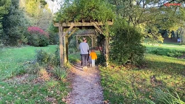 Avis vidéo Poussette polyvalente Ingenious BEBE CONFORT смотреть онлайн