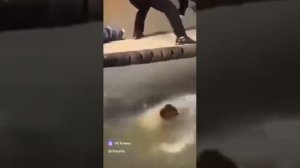 Качающийся мост качели в Китае!
