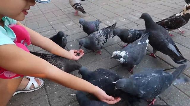 2018 09 20 Катюша и Голуби смотреть онлайн