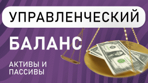 Основы учёта : Активы и Пассивы | Управленческий баланс