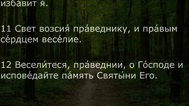 ЕСЛИ НА ВАС ЗЛО ТВОРЯТ ИЛИ КОЛДУЮТ. 96 ПСАЛОМ