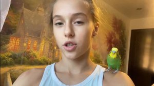 Плюсы и минусы волнистого попугая.