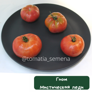 Гном Мистическая Леди