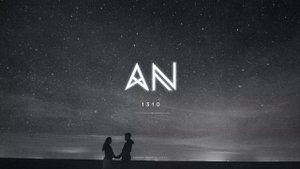Aurora Night - 1310