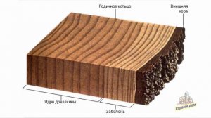 ПОРОДЫ ДРЕВЕСИНЫ ДЛЯ СТРОИТЕЛЬСТВА ДЕРЕВЯННОГО ДОМА
