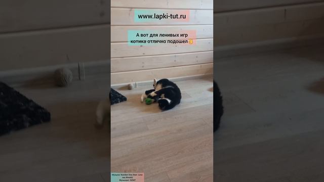 обзор игрушек от кота-босса