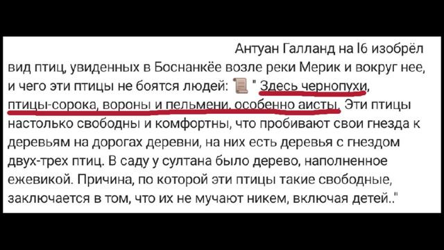 Обхохочетесь! Чудеса автоперевода с турецкого на русский