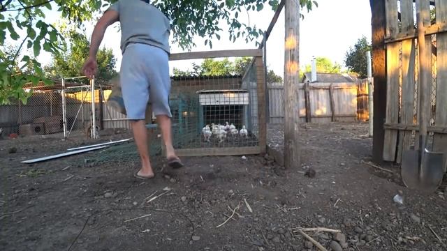 А МЫ ВСЁ РАБОТАЕМ \ ПОРОСЕНОК УБЕГАЕТ \ ДОМ В ДЕРЕВНЕ смотреть онлайн