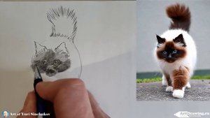 как нарисовать кошку рисуем скетч карандашом рисуем кошку карандашом