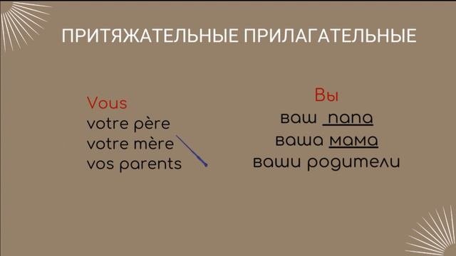 Притяжательные прилагательные во французском языке. Adjectifs Possessifs