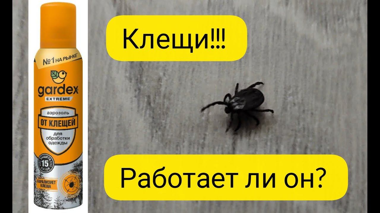 Спрей от клещей gardex смотреть онлайн
