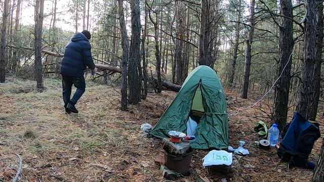 24 часа в лесу один.  Челлендж