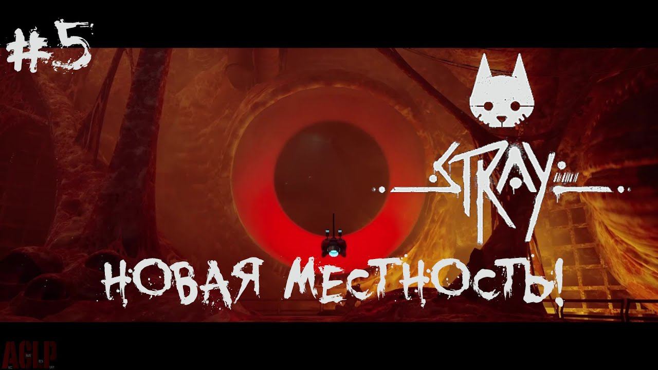 Stray  #5 НОВАЯ МЕСТНОСТЬ!
