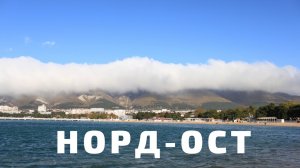 Норд-ост в Геленджике. Бора Геленджик