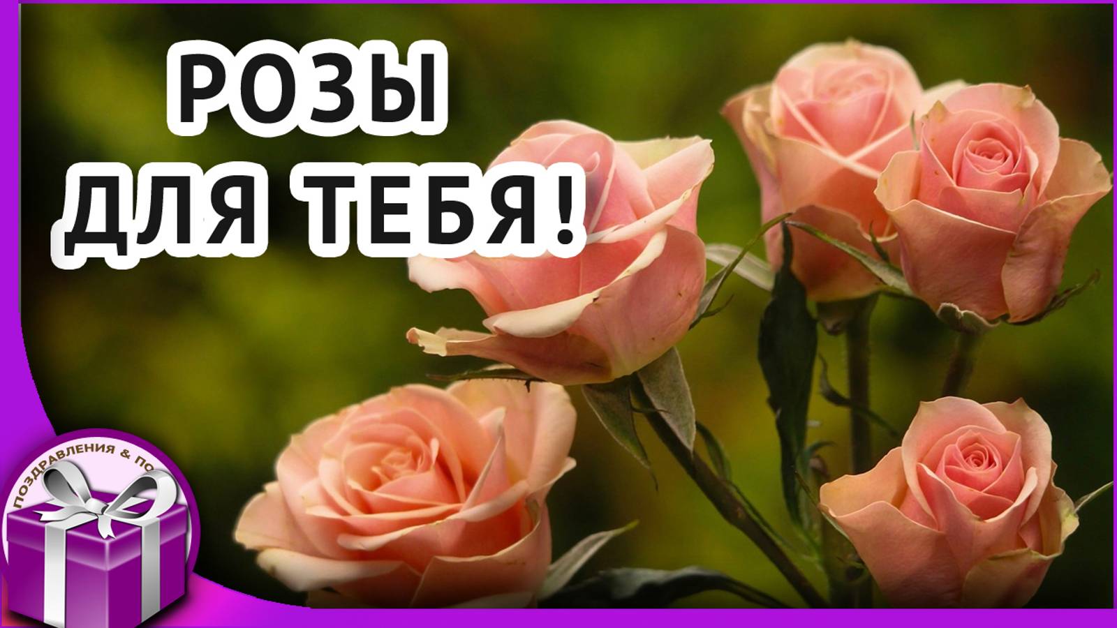 Все розы для тебя! Самые красивые розы для тебя