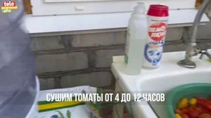 Вяленые томаты без духовки