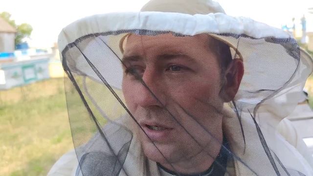 Как пчёлы ограничивают пчелиную матку и почему они проседают ☝️?? смотреть онлайн