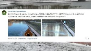 Почему утки живущие в городах, не торопятся улетать?