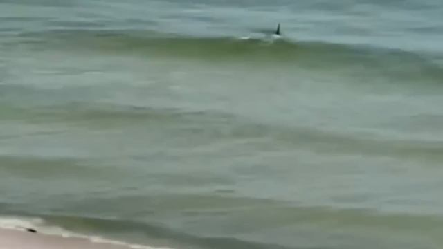 За Секунду До! Эти Случаи Удалось Снять на Камеру смотреть онлайн