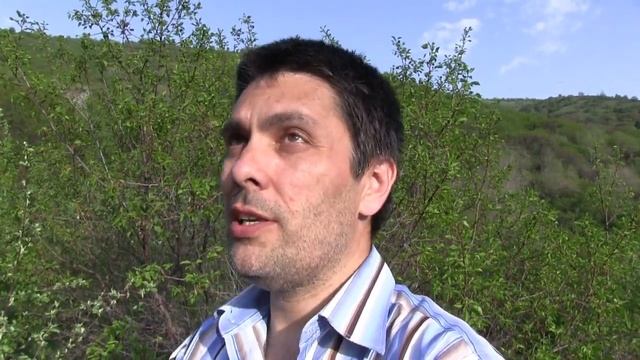 Какой тип солнечной электростанции выбрать смотреть онлайн