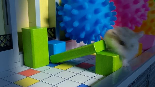 Top 5 Lego ZOMBIE MINERAFT STORIES with MAJOR HAMSTER смотреть онлайн