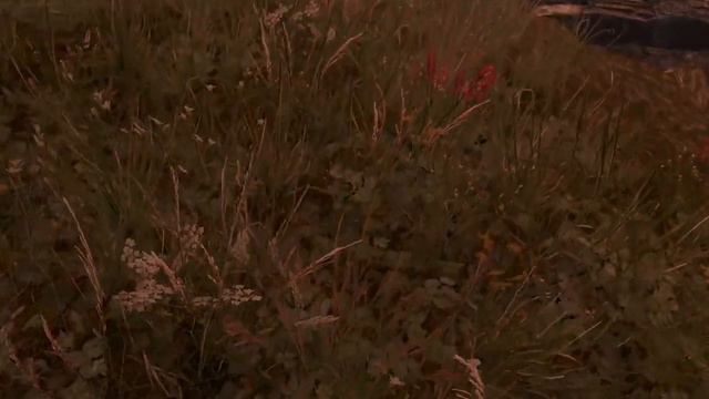 Skyrim: The Reach with Cathedral Weathers 2021 and Veydosebrom смотреть онлайн