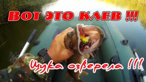 День щучьего клёва.mp4