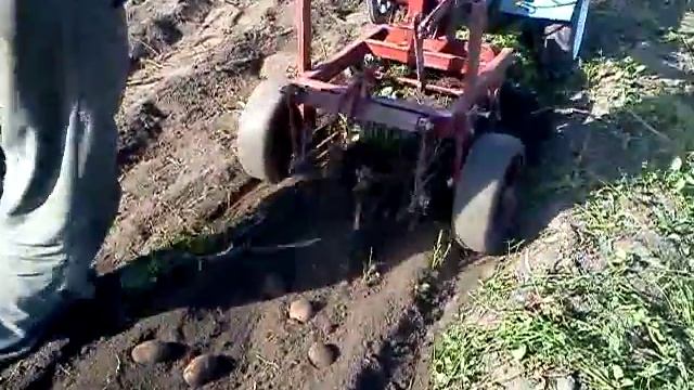 картофелекопалка