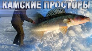 Камские просторы