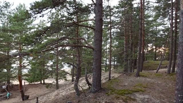 Озера Карелии #2: Ладога. Стороженский маяк и дары леса. Загадочный Олонец. Песчаные пляжи.
